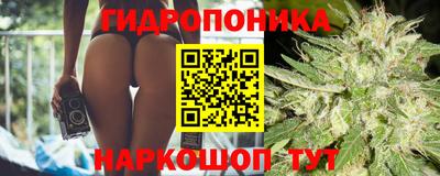 мяу мяу кристалл Малоярославец