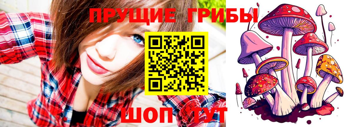 Псилоцибиновые грибы мицелий Богородицк