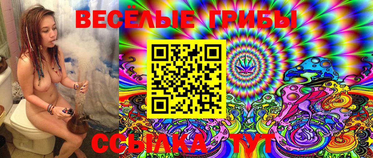Галлюциногенные грибы Magic Shrooms  Галлюциногенные грибы MAGIC MUSHROOMS  Вход с VPN  Богородицк 